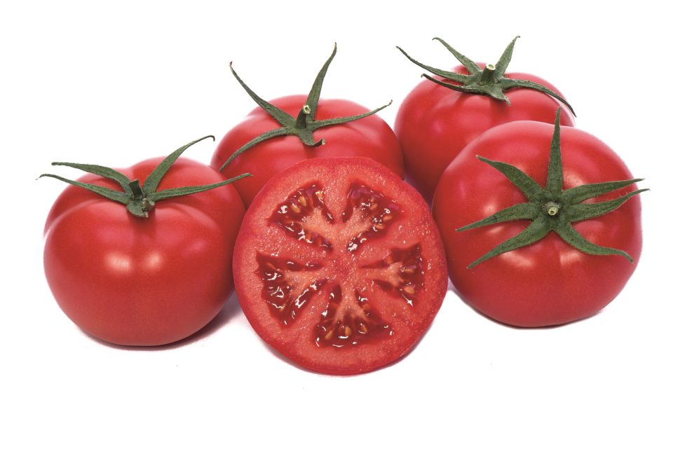 Tomato Habiba